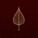 Wellness Sanctuaries